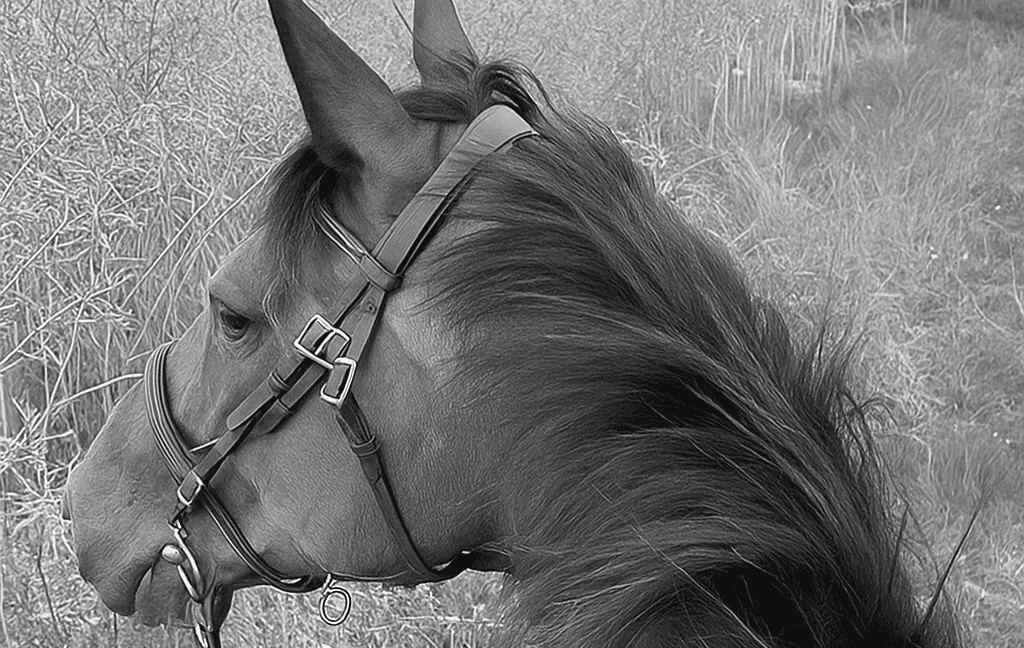 ChatGPT-Image-28-oct.-2025-11_30_25-e1762290578394-_1_-_1_